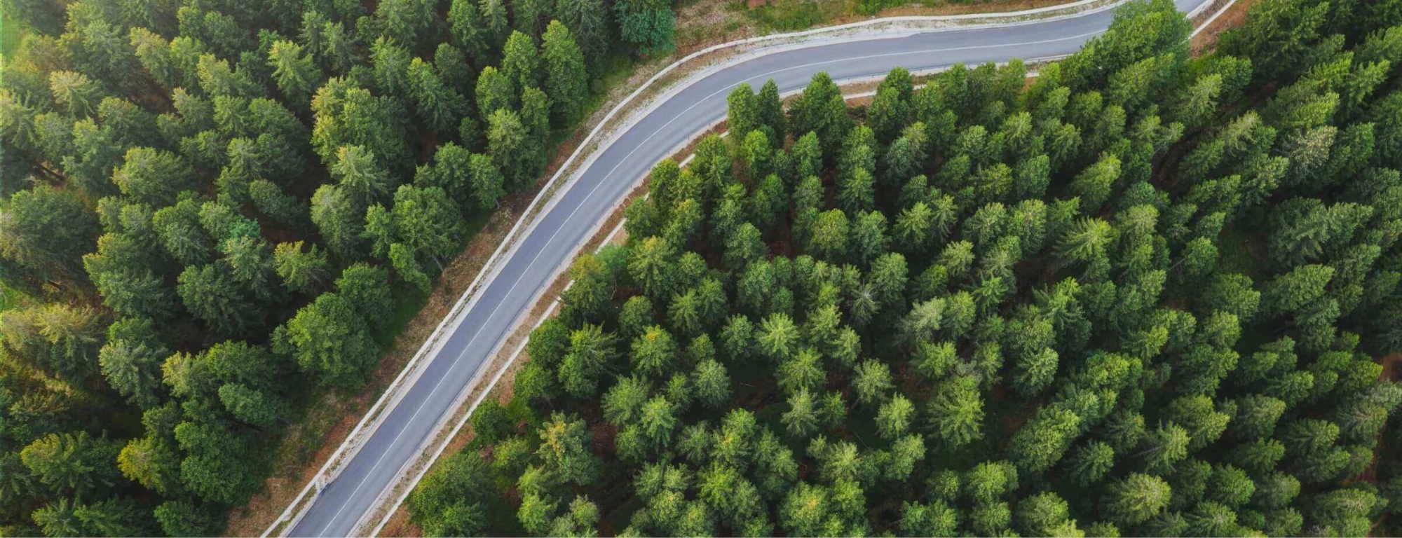 Executive Savings Plan Optimization