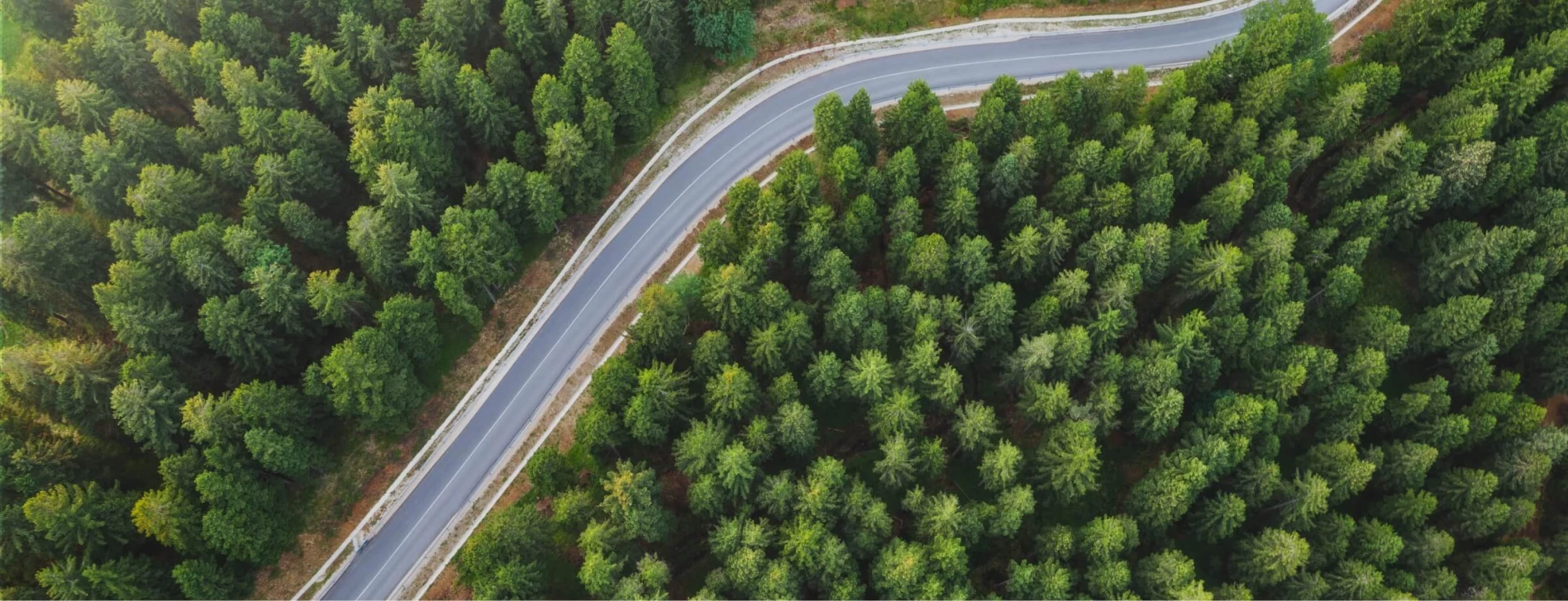 Executive Savings Plan Optimization